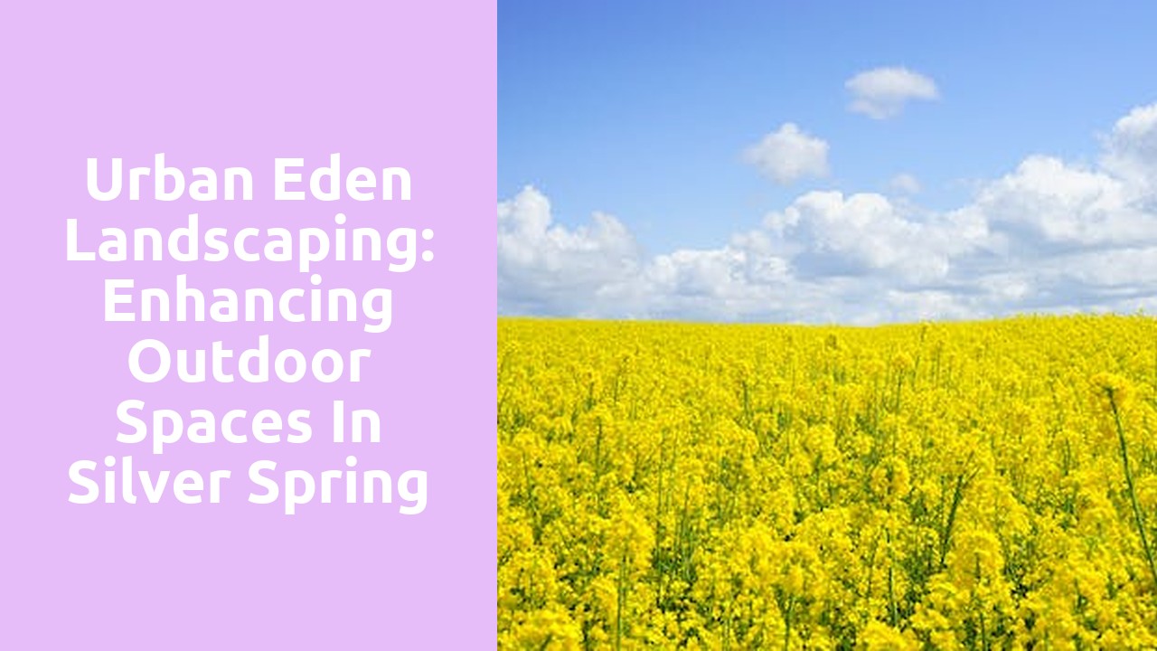 Urban Eden Landscaping: Enhancing Outdoor Spaces in Silver Spring